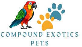 Exotic Pets & Parrots for Sale